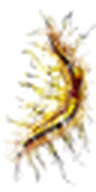 Díszes íj ikon